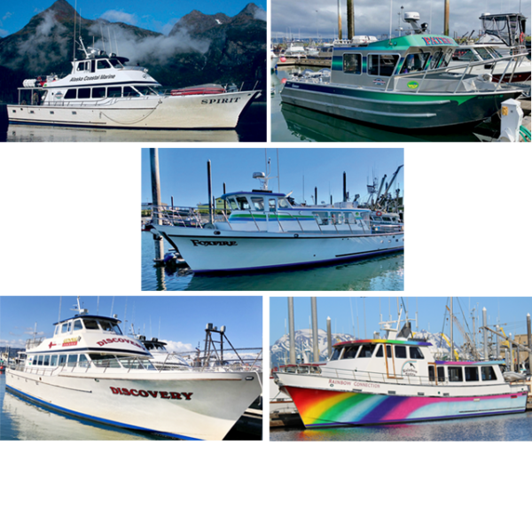 Alaska Coastal Marine Homer Fishing Charter and Seldovia Tours